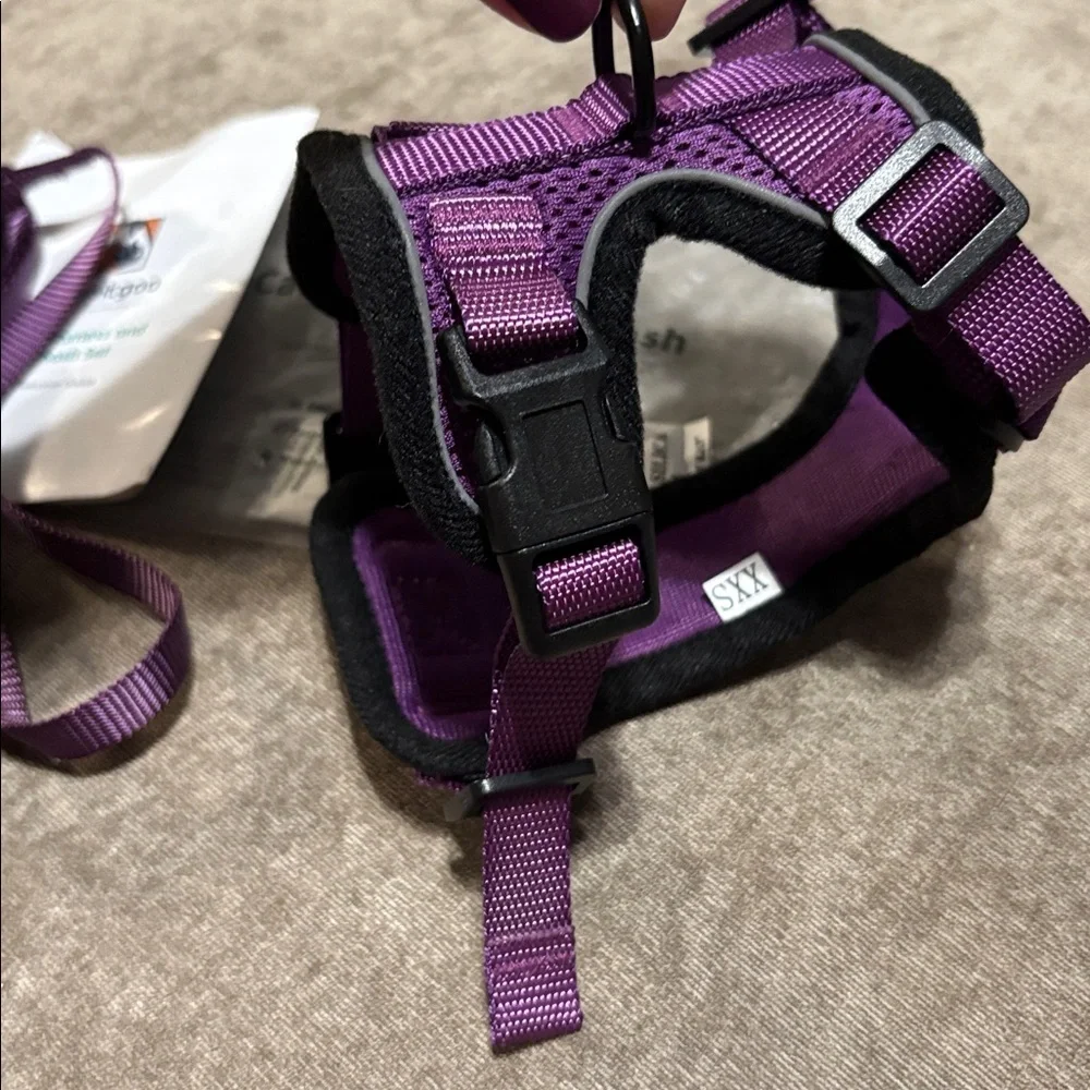 Rabbitgoo purple & black cat harness & leash, size XXS, NIB.